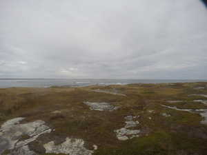 Photograph of Pinchard's Island, Newfoundland — October 24, 2017 at 1:58 PM