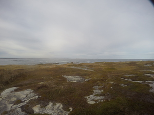 Photograph of Pinchard's Island, Newfoundland — October 24, 2017 at 3:58 PM