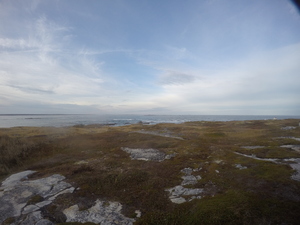 Photograph of Pinchard's Island, Newfoundland — October 24, 2017 at 4:58 PM