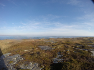 Photograph of Pinchard's Island, Newfoundland — October 25, 2017 at 9:58 AM