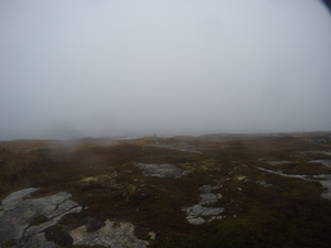 Photograph of Pinchard's Island, Newfoundland — October 27, 2017 at 7:58 AM