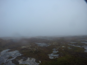 Photograph of Pinchard's Island, Newfoundland — October 27, 2017 at 8:58 AM