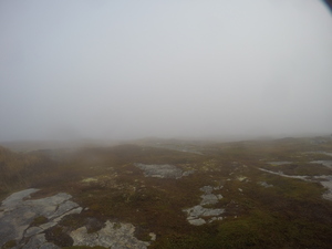 Photograph of Pinchard's Island, Newfoundland — October 27, 2017 at 9:58 AM
