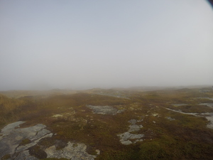 Photograph of Pinchard's Island, Newfoundland — October 27, 2017 at 10:58 AM