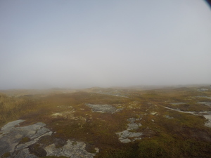 Photograph of Pinchard's Island, Newfoundland — October 27, 2017 at 11:58 AM