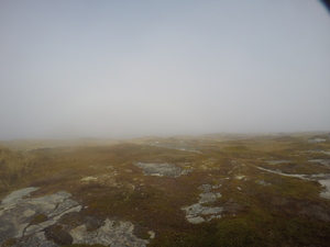 Photograph of Pinchard's Island, Newfoundland — October 27, 2017 at 12:58 PM