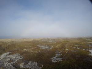 Photograph of Pinchard's Island, Newfoundland — October 27, 2017 at 1:58 PM