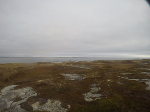 Photograph of Pinchard's Island, Newfoundland — October 28, 2017 at 8:58 AM