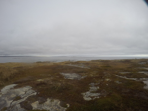 Photograph of Pinchard's Island, Newfoundland — October 28, 2017 at 9:58 AM
