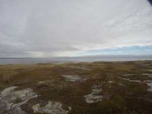 Photograph of Pinchard's Island, Newfoundland — October 28, 2017 at 10:58 AM