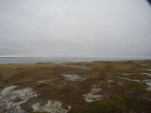 Photograph of Pinchard's Island, Newfoundland — October 28, 2017 at 11:49 AM