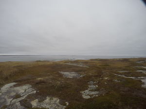Photograph of Pinchard's Island, Newfoundland — October 28, 2017 at 11:51 AM
