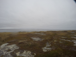 Photograph of Pinchard's Island, Newfoundland — October 28, 2017 at 11:53 AM