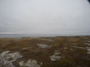 Photograph of Pinchard's Island, Newfoundland — October 28, 2017 at 11:56 AM