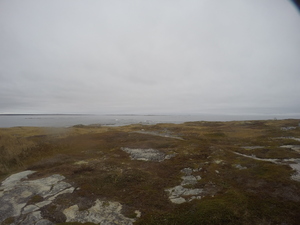 Photograph of Pinchard's Island, Newfoundland — October 28, 2017 at 11:58 AM