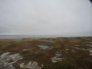 Photograph of Pinchard's Island, Newfoundland — October 28, 2017 at 12:00 PM