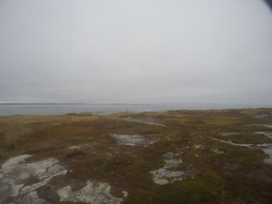 Photograph of Pinchard's Island, Newfoundland — October 28, 2017 at 12:13 PM