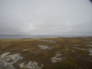 Photograph of Pinchard's Island, Newfoundland — October 28, 2017 at 12:58 PM