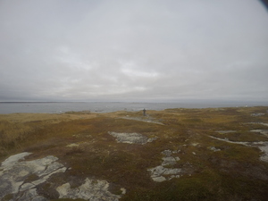 Photograph of Pinchard's Island, Newfoundland — October 28, 2017 at 1:11 PM
