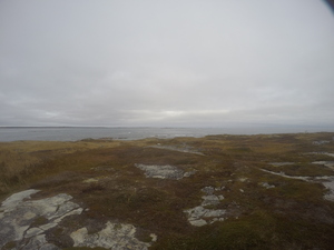 Photograph of Pinchard's Island, Newfoundland — October 28, 2017 at 1:19 PM