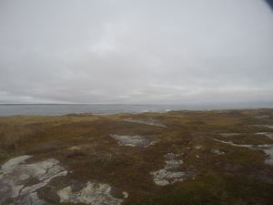 Photograph of Pinchard's Island, Newfoundland — October 28, 2017 at 1:25 PM