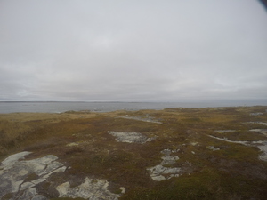 Photograph of Pinchard's Island, Newfoundland — October 28, 2017 at 1:29 PM