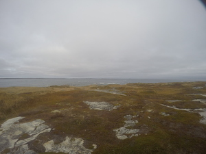 Photograph of Pinchard's Island, Newfoundland — October 28, 2017 at 1:32 PM