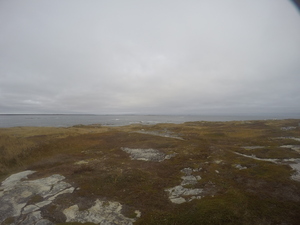 Photograph of Pinchard's Island, Newfoundland — October 28, 2017 at 1:38 PM