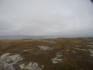Photograph of Pinchard's Island, Newfoundland — October 28, 2017 at 1:41 PM