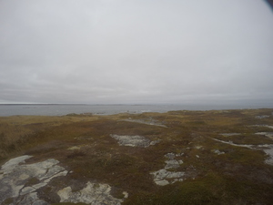 Photograph of Pinchard's Island, Newfoundland — October 28, 2017 at 1:49 PM