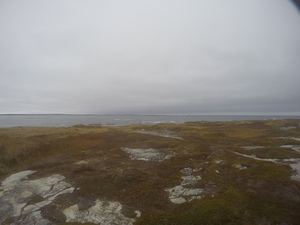 Photograph of Pinchard's Island, Newfoundland — October 28, 2017 at 2:11 PM