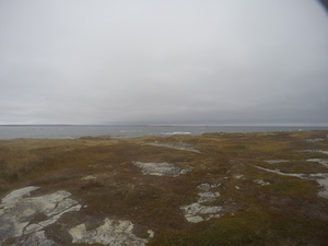 Photograph of Pinchard's Island, Newfoundland — October 28, 2017 at 2:16 PM
