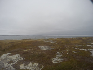 Photograph of Pinchard's Island, Newfoundland — October 28, 2017 at 2:16 PM