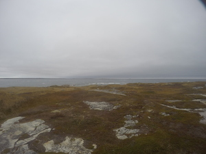 Photograph of Pinchard's Island, Newfoundland — October 28, 2017 at 2:20 PM
