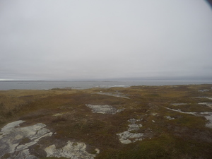 Photograph of Pinchard's Island, Newfoundland — October 28, 2017 at 2:39 PM