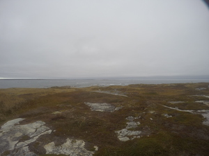 Photograph of Pinchard's Island, Newfoundland — October 28, 2017 at 2:46 PM