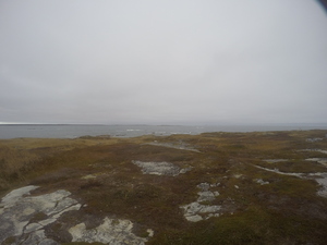 Photograph of Pinchard's Island, Newfoundland — October 28, 2017 at 2:58 PM