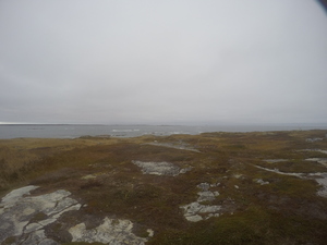 Photograph of Pinchard's Island, Newfoundland — October 28, 2017 at 2:58 PM
