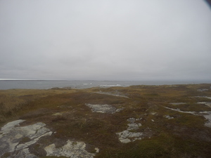 Photograph of Pinchard's Island, Newfoundland — October 28, 2017 at 3:09 PM
