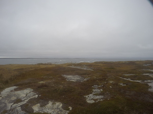 Photograph of Pinchard's Island, Newfoundland — October 28, 2017 at 3:13 PM