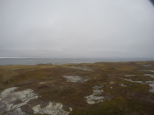 Photograph of Pinchard's Island, Newfoundland — October 28, 2017 at 3:15 PM