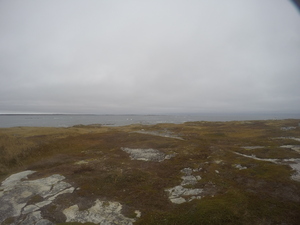 Photograph of Pinchard's Island, Newfoundland — October 28, 2017 at 3:21 PM