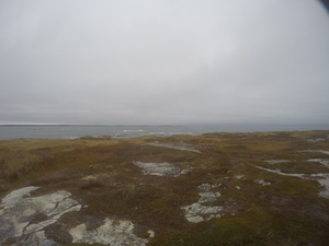 Photograph of Pinchard's Island, Newfoundland — October 28, 2017 at 3:24 PM