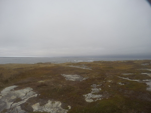 Photograph of Pinchard's Island, Newfoundland — October 28, 2017 at 3:58 PM