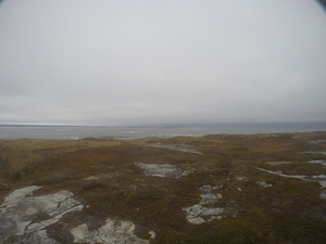 Photograph of Pinchard's Island, Newfoundland — October 28, 2017 at 4:06 PM
