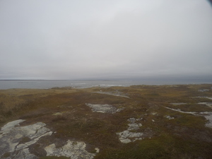 Photograph of Pinchard's Island, Newfoundland — October 28, 2017 at 4:24 PM