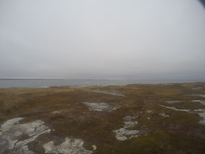 Photograph of Pinchard's Island, Newfoundland — October 28, 2017 at 4:42 PM