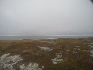 Photograph of Pinchard's Island, Newfoundland — October 28, 2017 at 4:58 PM