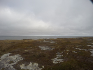 Photograph of Pinchard's Island, Newfoundland — October 29, 2017 at 12:01 PM