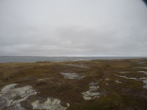 Photograph of Pinchard's Island, Newfoundland — October 29, 2017 at 12:08 PM